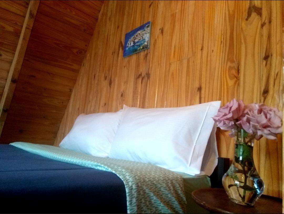 Trastienda Guest House El Calafate Exterior foto